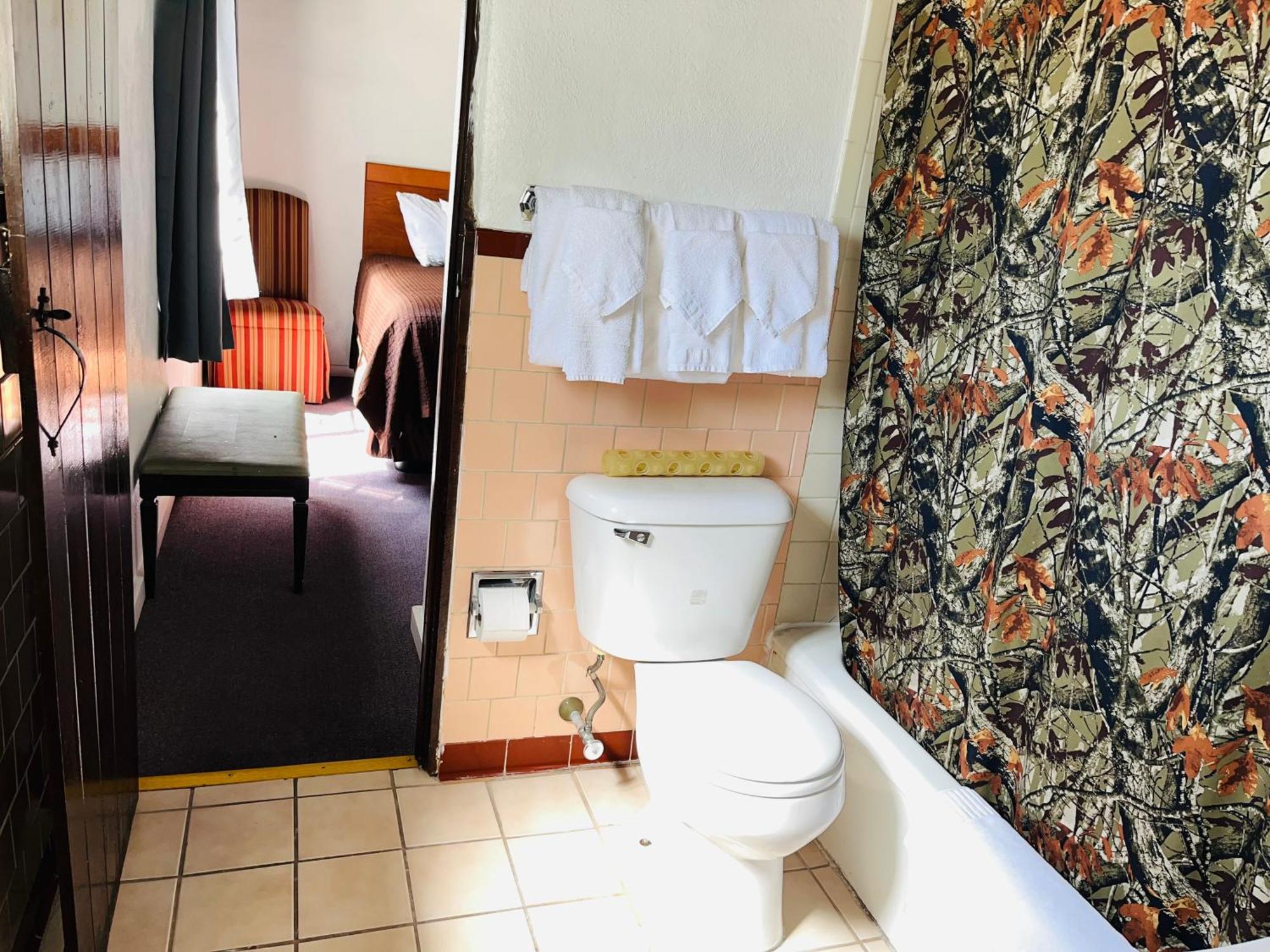 Motel Cottonwood Court